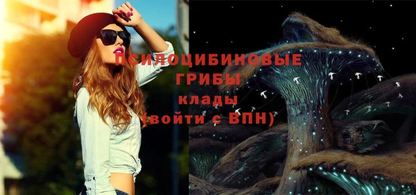 стафф Алексеевка